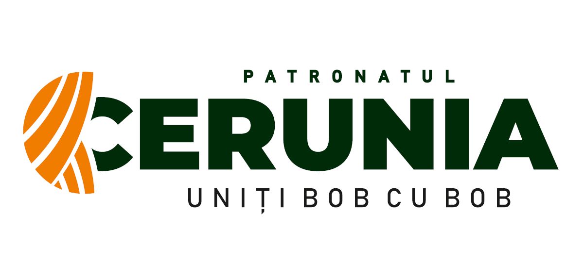 Patronatul Drumarilor din Romania